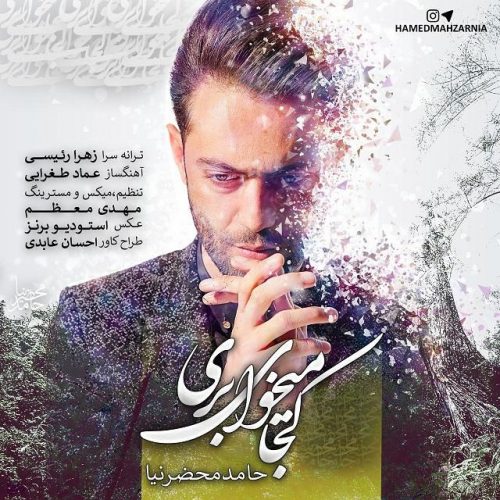 Hamed Mahzarnia – Koja Mikhay Beri